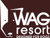 Wag Resort :: Designed for Dogs